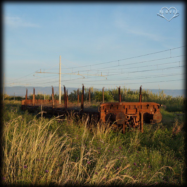 Travelling without moving#panorama #pointofview #station #train #railway #train #travel #nature #humannature #picoftheday #bestoftheday #photooftheday #nicotera #calabria #italia #nofx #ilovea #phototag #mayday #instagood #igersitalia - Instagram moment 